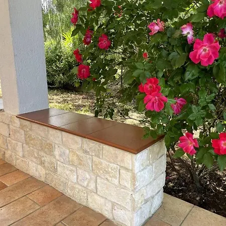Rose Country Cassano delle Murge